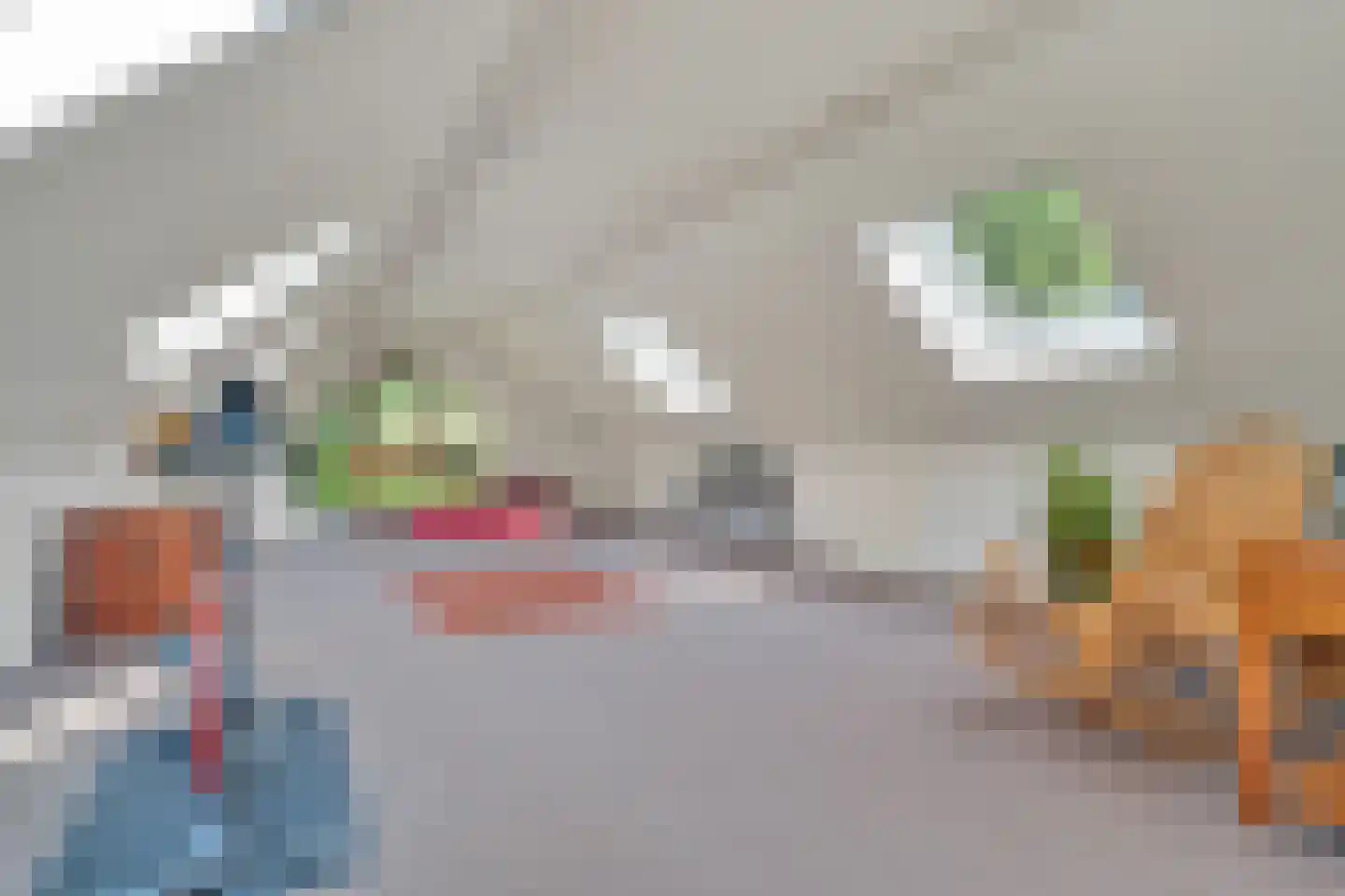Bouvigne 19 Almelo thumbnail 20