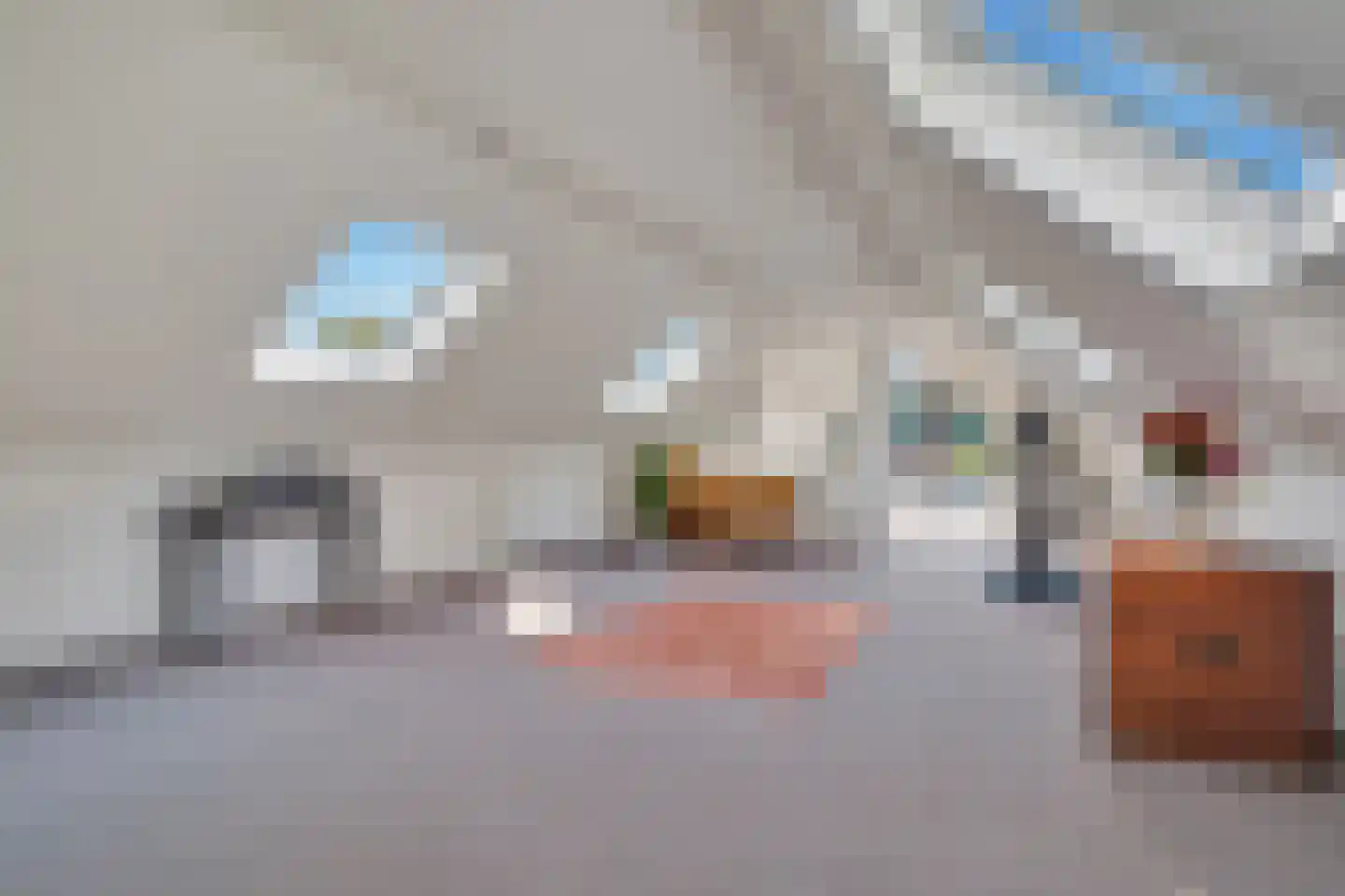 Bouvigne 19 Almelo thumbnail 22