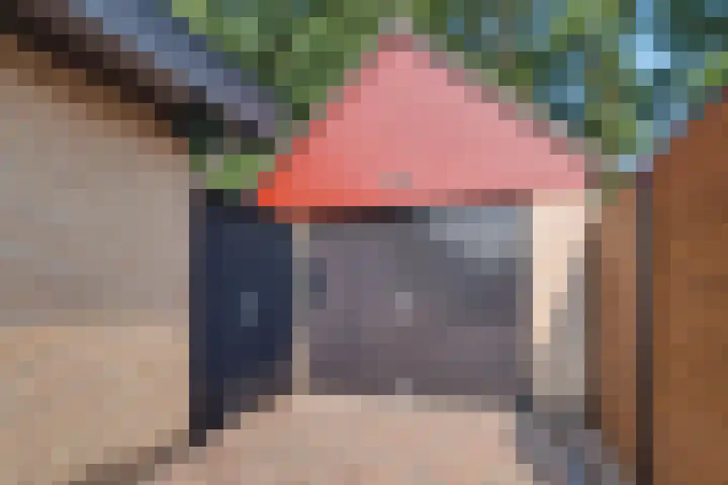 Bouvigne 19 Almelo thumbnail 26