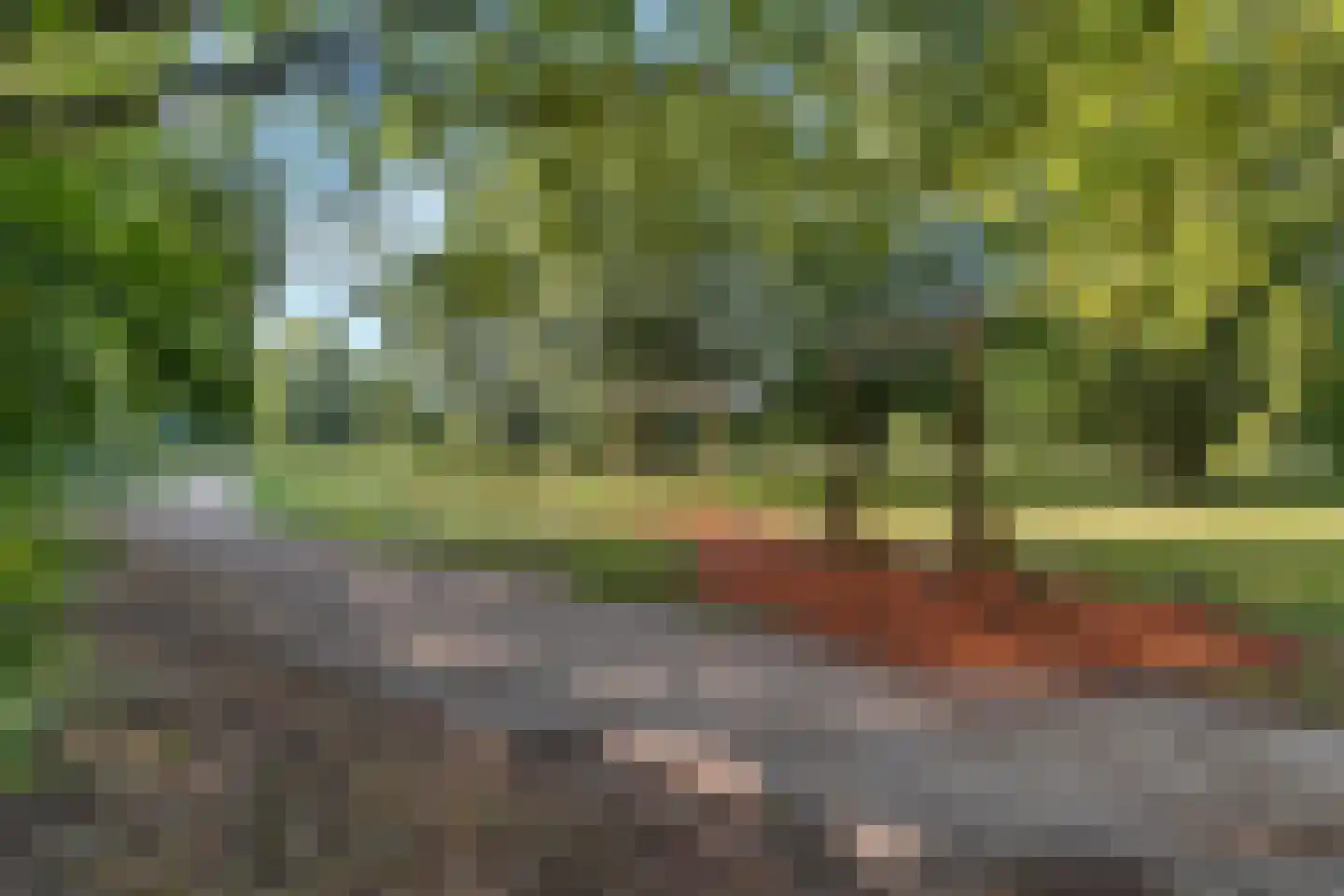 Bouvigne 19 Almelo thumbnail 32