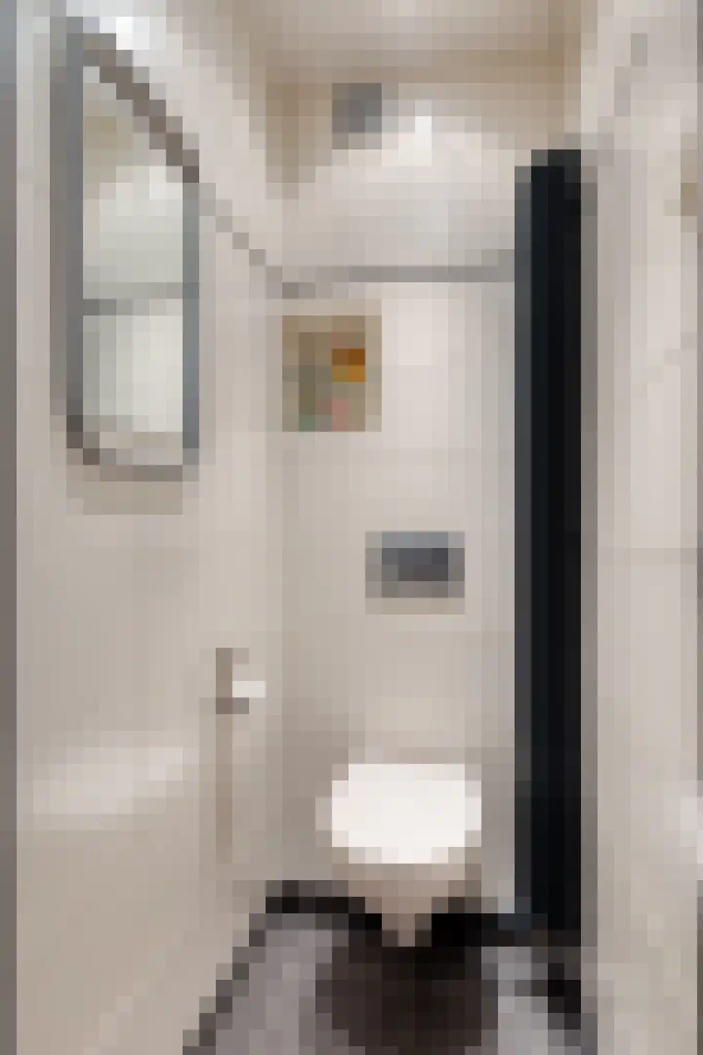 Bouvigne 26 Eindhoven thumbnail 14