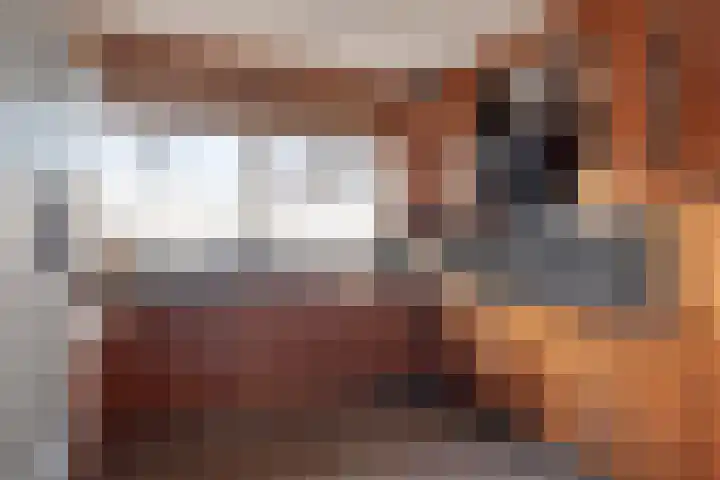 Bouvigne 26 Eindhoven thumbnail 25