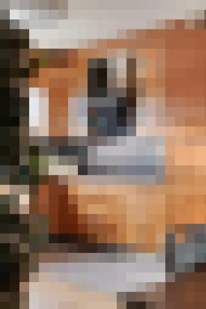 Bouvigne 26 Eindhoven thumbnail 26