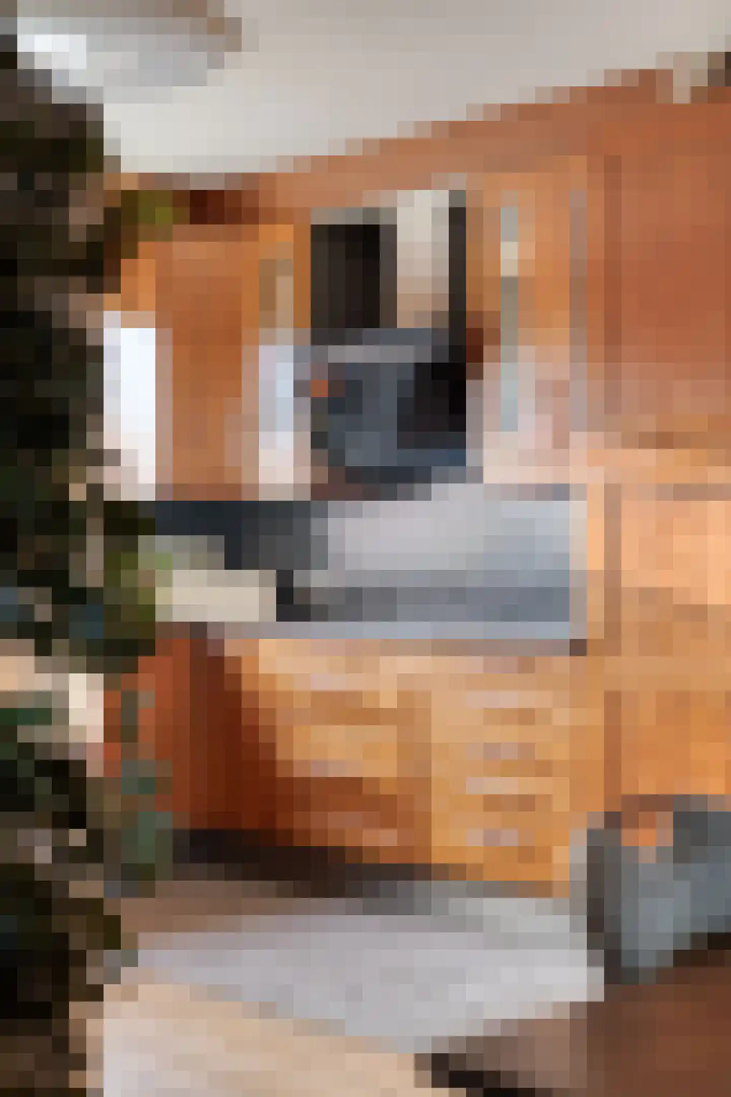 Bouvigne 26 Eindhoven thumbnail 26