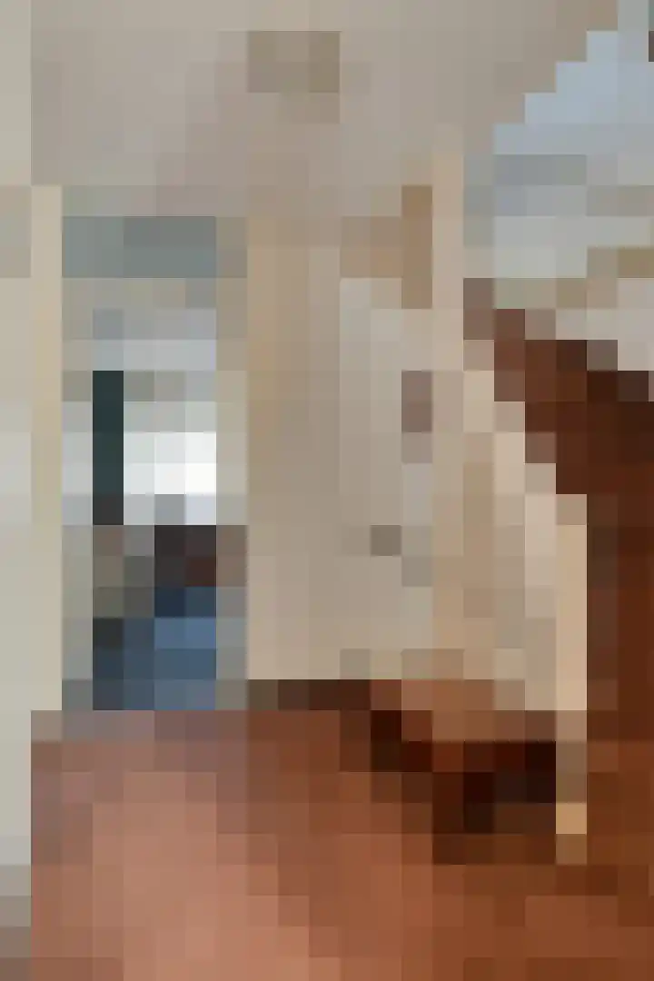 Bouvigne 26 Eindhoven thumbnail 30