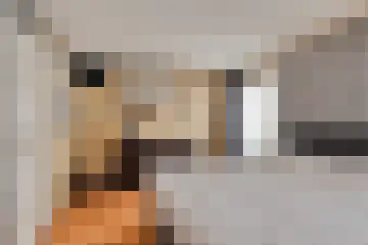 Bouvigne 26 Eindhoven thumbnail 31