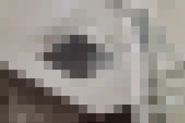 Bouvigne 26 Eindhoven thumbnail 36