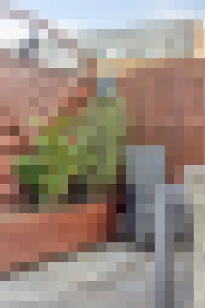 Bouvigne 26 Eindhoven thumbnail 48