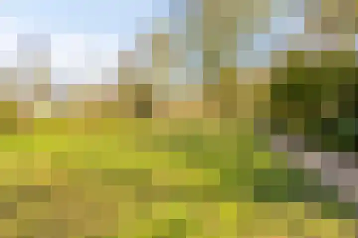 Bouvigne 26 Eindhoven thumbnail 49