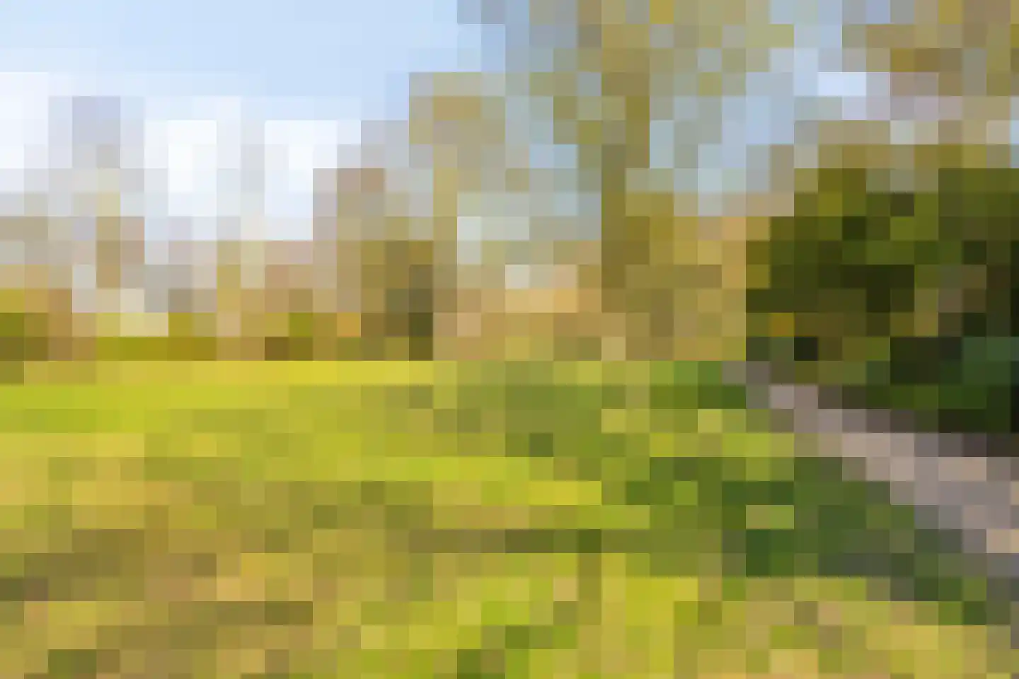 Bouvigne 26 Eindhoven thumbnail 49