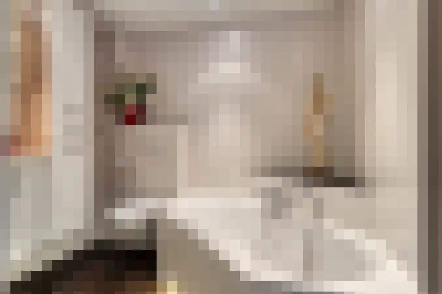 Bouvigne 26 Eindhoven thumbnail 5