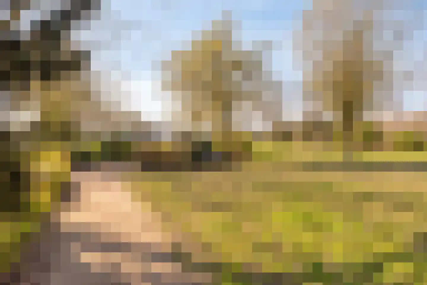 Bouvigne 26 Eindhoven thumbnail 50