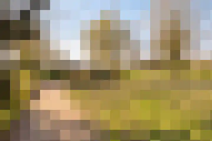 Bouvigne 26 Eindhoven thumbnail 50