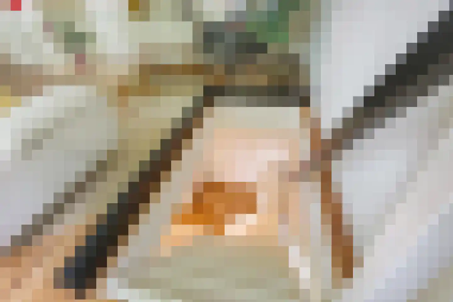 Bouvigne 28 2 Amsterdam thumbnail 19