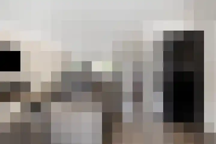 Bouvigne 28 Eindhoven thumbnail 10