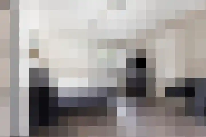 Bouvigne 28 Eindhoven thumbnail 11
