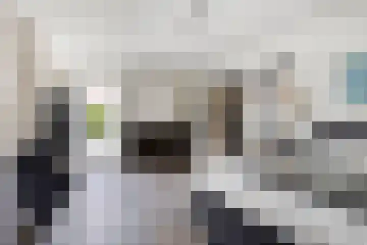 Bouvigne 28 Eindhoven thumbnail 12