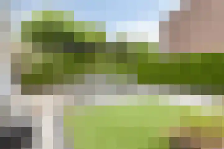 Bouvigne 28 Eindhoven thumbnail 17
