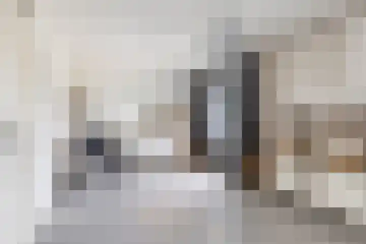 Bouvigne 28 Eindhoven thumbnail 20