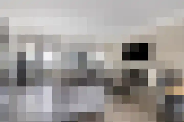 Bouvigne 28 Eindhoven thumbnail 8