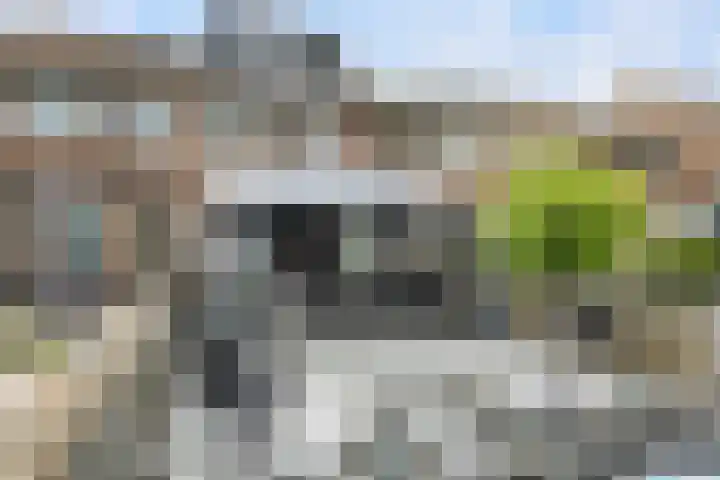 Bouvigne 39 Capelle aan den IJssel thumbnail 10