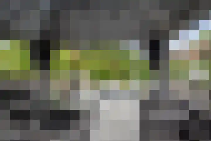 Bouvigne 39 Capelle aan den IJssel thumbnail 6