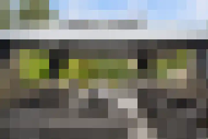 Bouvigne 39 Capelle aan den IJssel thumbnail 7