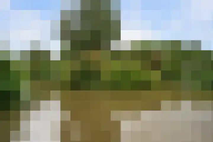 Bouvigne 39 Capelle aan den IJssel thumbnail 9