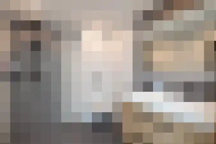 Bouvigne 4 Capelle aan den IJssel thumbnail 15
