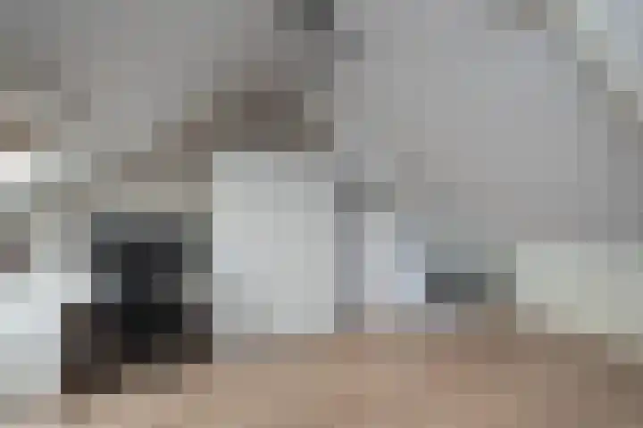 Bouvigne 4 Capelle aan den IJssel thumbnail 17