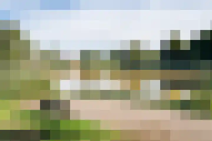 Bouvigne 4 Capelle aan den IJssel thumbnail 24