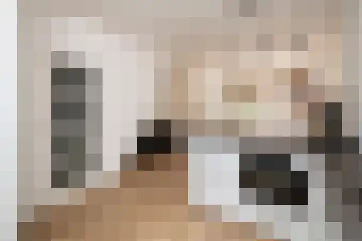 Bouvigne 4 Capelle aan den IJssel thumbnail 4