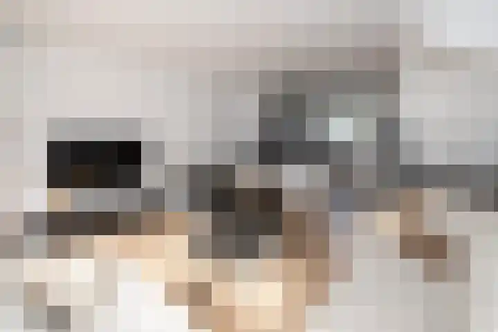 Bouvigne 4 Capelle aan den IJssel thumbnail 6