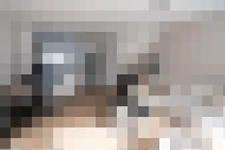 Bouvigne 4 Capelle aan den IJssel thumbnail 9