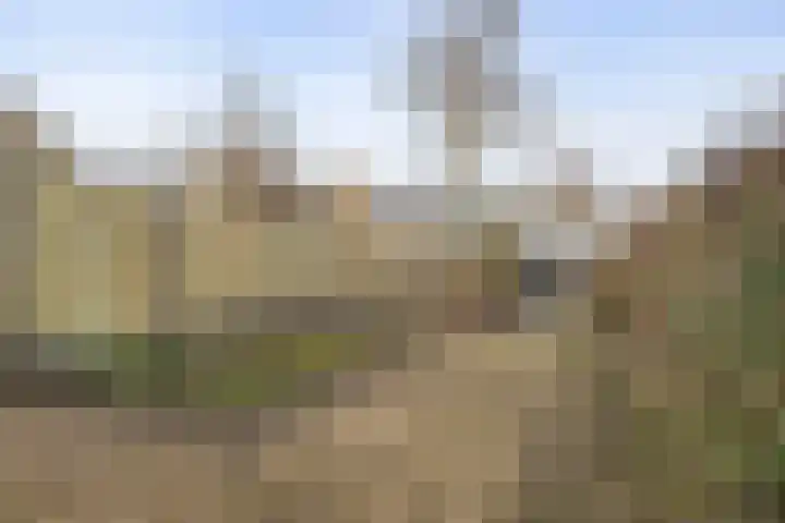 Bouvigne 51 Eindhoven thumbnail 5