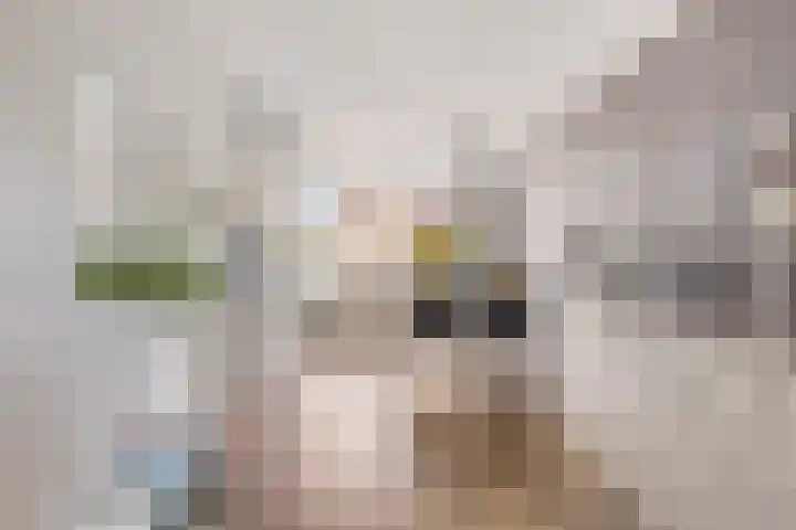 Bouvignehof 21 Helmond thumbnail 11