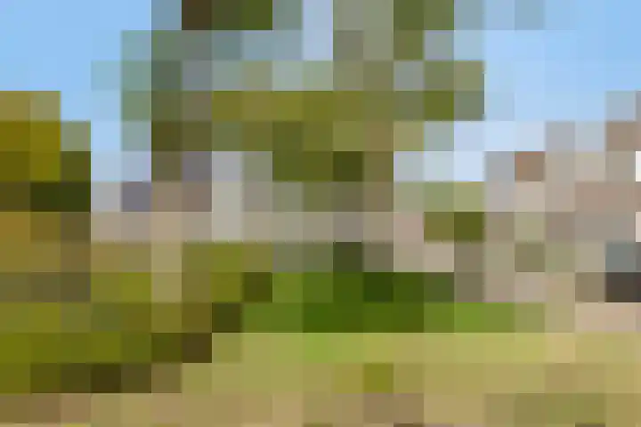 Bouvignehof 21 Helmond thumbnail 27