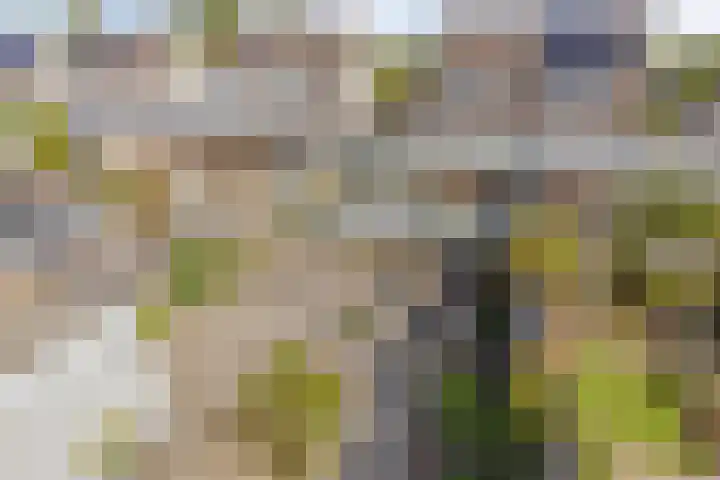 Bouvignehof 21 Helmond thumbnail 32