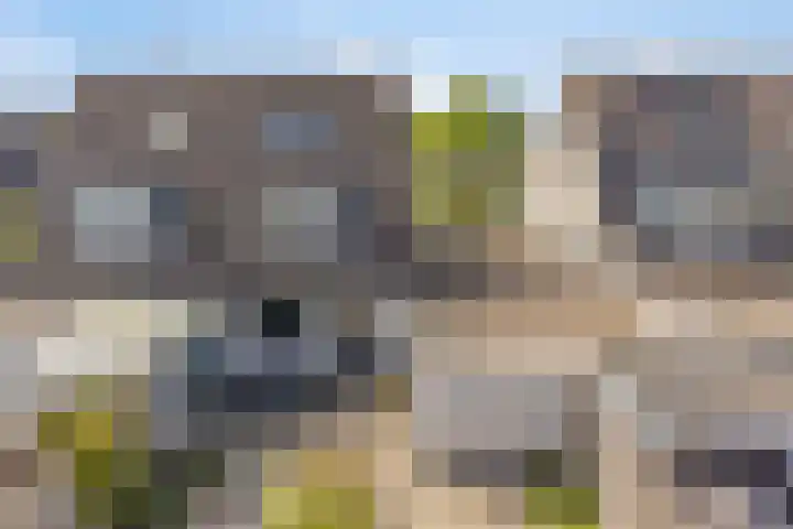 Bouvignehof 21 Helmond thumbnail 33