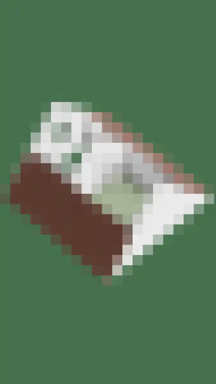 Bouvignehof 21 Helmond thumbnail 39