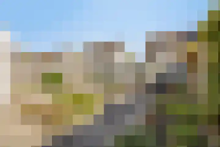 Bouvignehof 21 Helmond thumbnail 6