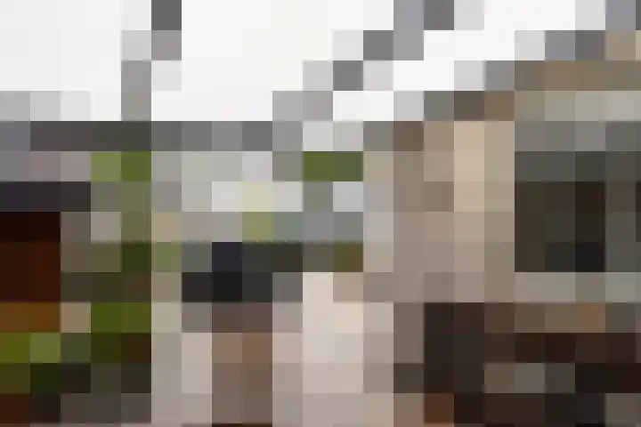 Bouvignehof 49 Helmond thumbnail 28