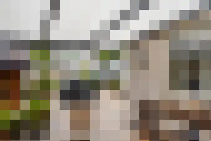 Bouvignehof 49 Helmond thumbnail 29