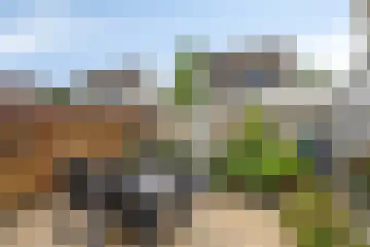 Bouvignehof 49 Helmond thumbnail 30