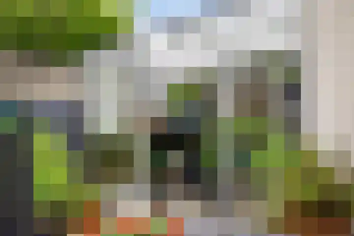 Bouvignehof 49 Helmond thumbnail 32