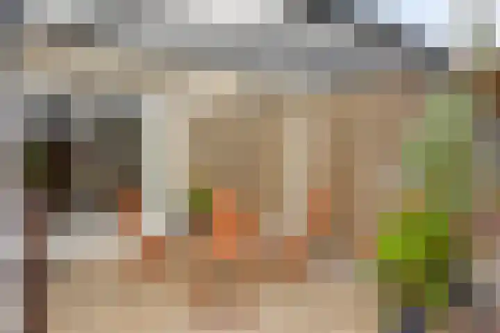 Bouvignehof 49 Helmond thumbnail 33