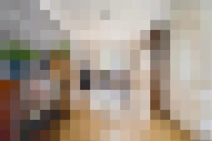 Bouvignehof 49 Helmond thumbnail 7
