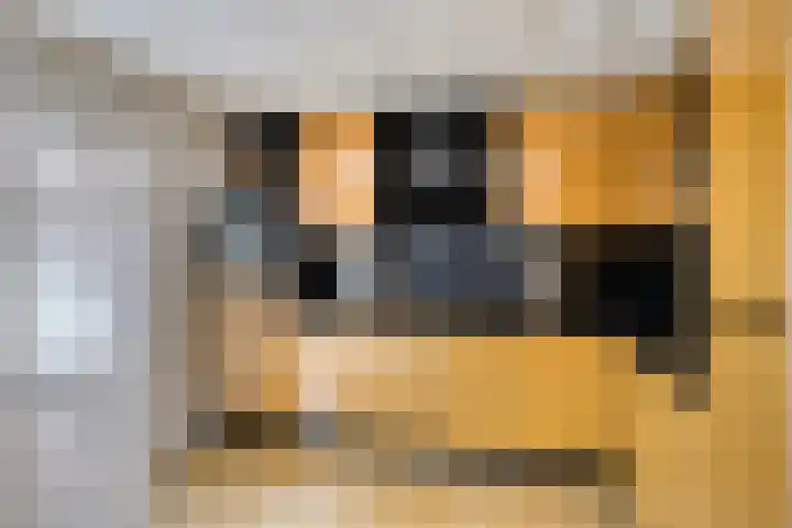 Bouvignehof 49 Helmond thumbnail 9