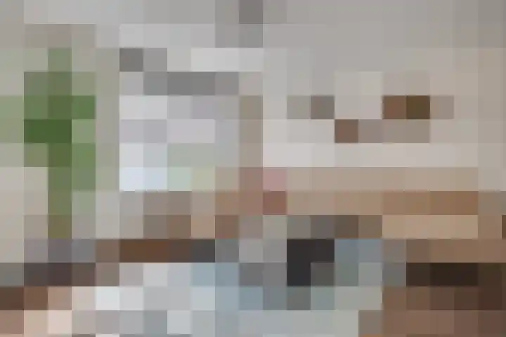 Bouvignehof 53 Helmond thumbnail 17