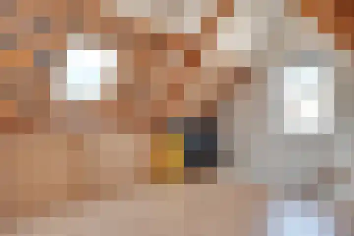Bouvignehof 53 Helmond thumbnail 38